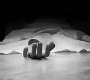 Woman Found Dead on Terrace in Chennai, Police Suspect Murder by Cousin