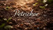 Word of the Day: Petrichor - The Earthy Scent of Rain on Dry Soil