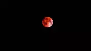 Worm Moon 2026: Total Lunar Eclipse to Grace Skies with Reddish Glow