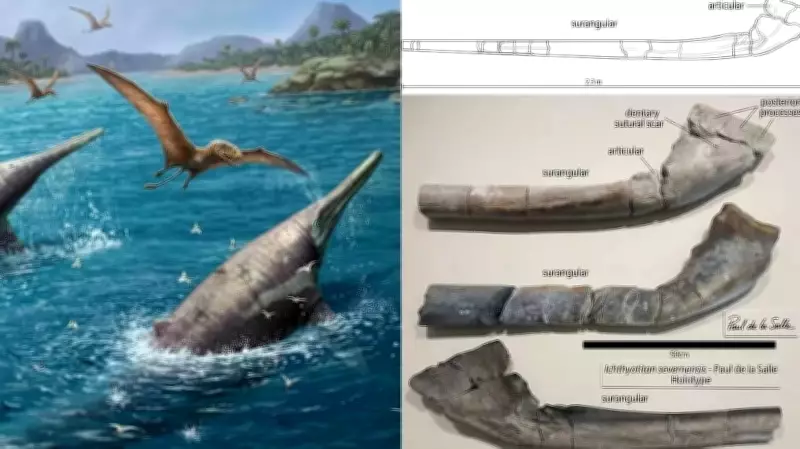 11-Year-Old's Fossil Find Reveals Largest Marine Reptile Ever Discovered
