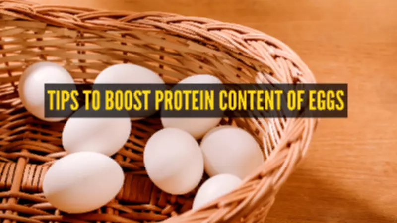 5 Protein-Rich Foods to Pair with Eggs for a Healthier Meal