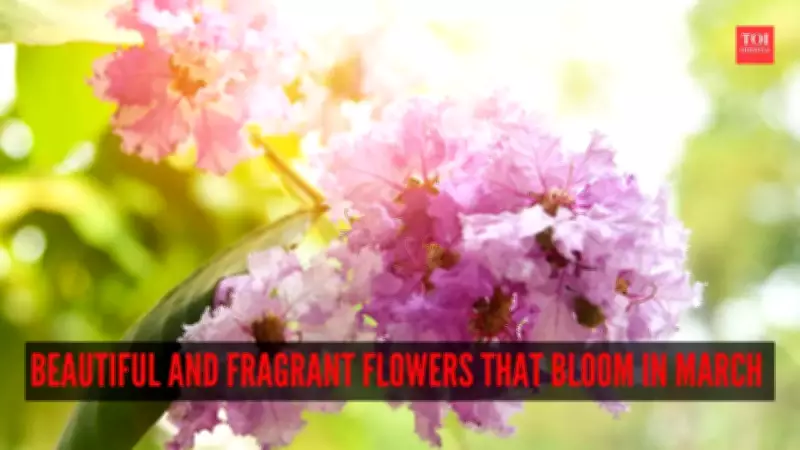 6 Beautiful and Fragrant Flowers That Bloom in March: A Spring Garden Guide