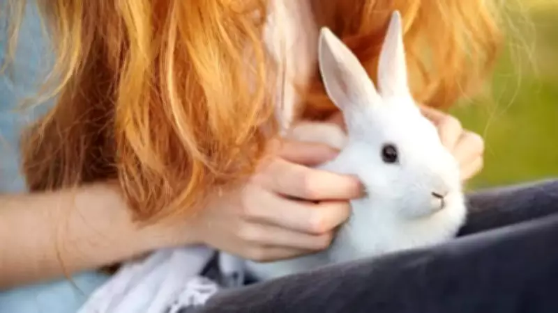 6 Best Pets for Kids That Teach Love, Responsibility and Care