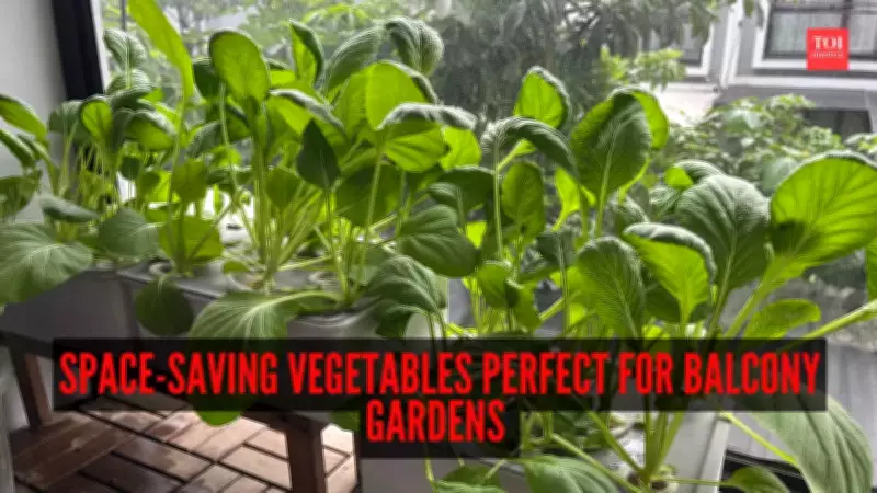 6 Space-Saving Vegetables Perfect for Balcony Gardens: A Complete Growing Guide