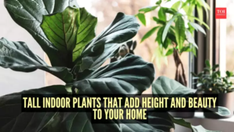 6 Tall Indoor Plants to Elevate Your Home's Height and Beauty