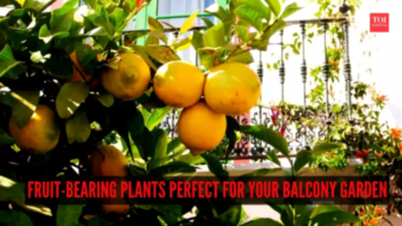 7 Best Fruit-Bearing Plants for Your Balcony Garden: Grow Fresh Fruits at Home