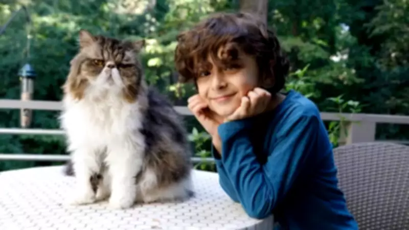 7 Compelling Reasons Why Persian Cats Are Excellent Pets for Families with Children