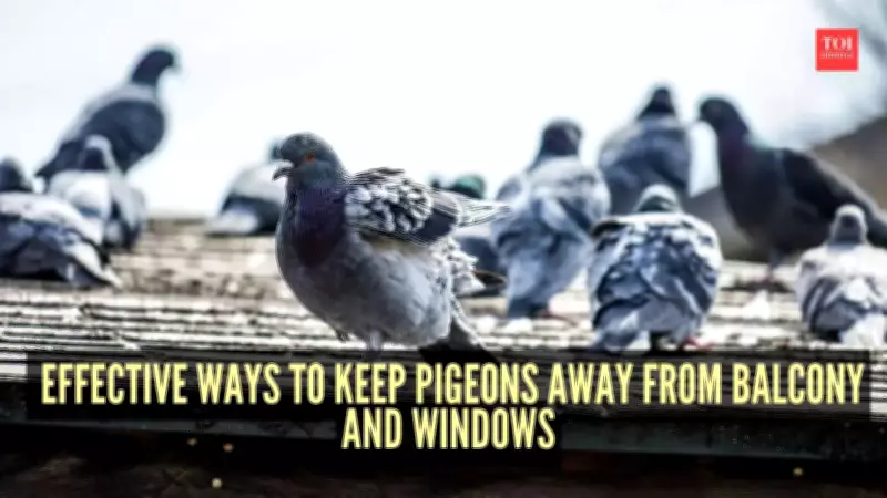 7 Effective Strategies to Deter Pigeons from Balconies and Windows