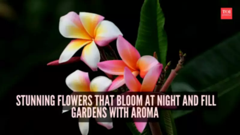 7 Stunning Night-Blooming Flowers That Transform Gardens with Evening Aromas