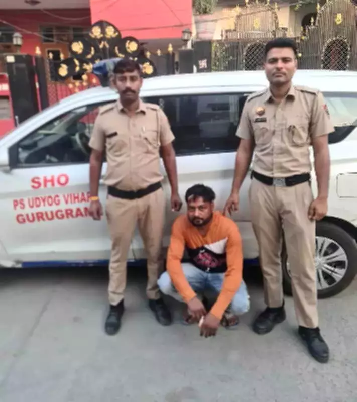 70-Year-Old Man Beaten to Death with Stone in Gurgaon Village Altercation