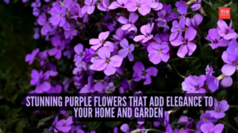 8 Stunning Purple Flowers to Add Elegance to Your Home and Garden