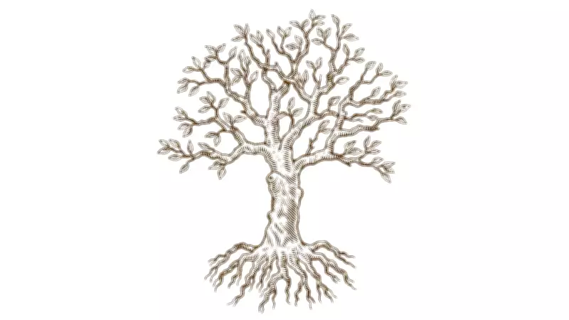 Activists Raise Alarm Over Bengaluru Metro's Impact on City's Green Cover