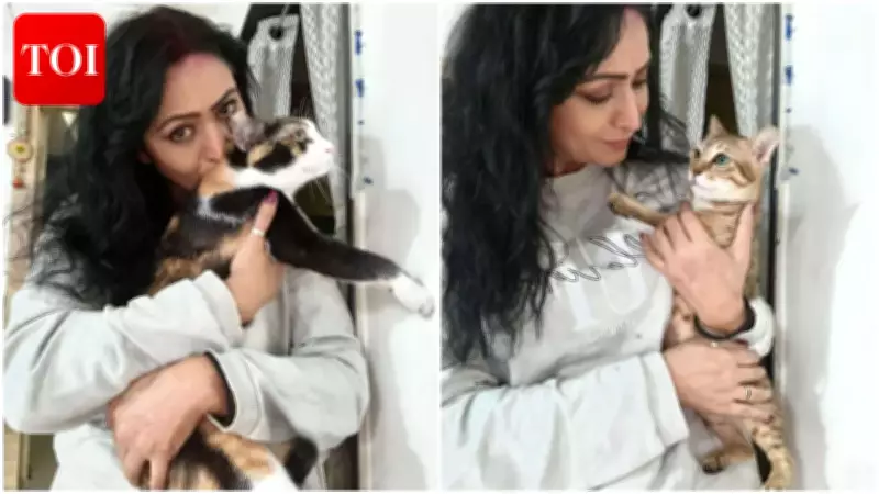 Actress Shivani Gosain's Journey from Dog Lover to Devoted Cat Mom of Four