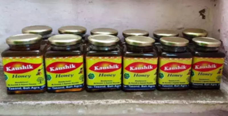 Agra Woman's Beekeeping Venture Turns Rs 30,000 into Rs 25 Lakh Annual Turnover