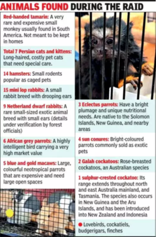 Ahmedabad Crime Branch Busts Major Exotic Animal Breeding Racket in Residential Flat
