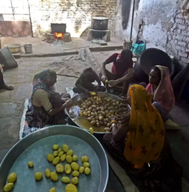 Ahmedabad Engineering College Switches to Wood-Fired Stoves Amid LPG Shortage