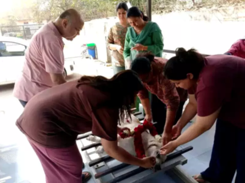 Ahmedabad Expands Pet Crematorium Services with Two New Facilities