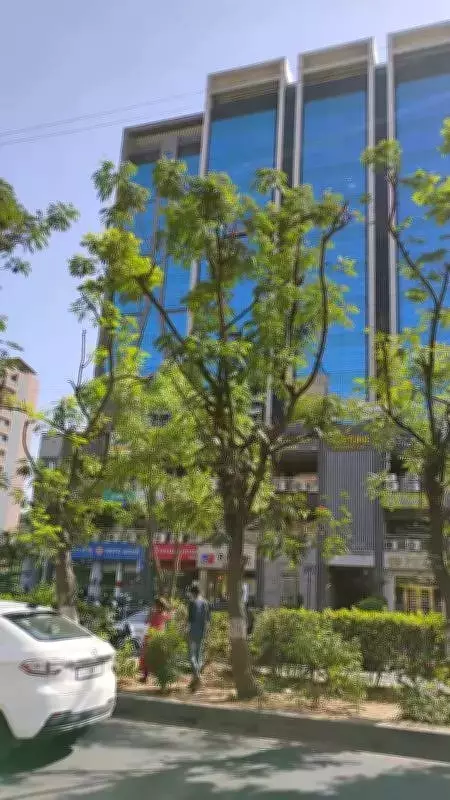 Ahmedabad Institute Fined Rs 3.2 Lakh, Ordered to Plant 120 Trees for Illegal Tree Cutting