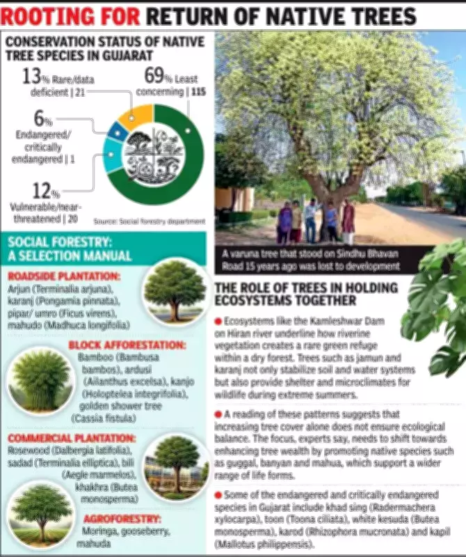 Ahmedabad's Green Cover Grows but Native Trees Vanish, Threatening Biodiversity