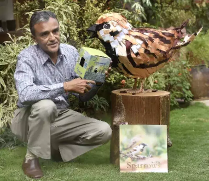 Ahmedabad's Sparrows Retreat to Outskirts, Birdwatchers Raise Alarm Ahead of World Sparrow Day