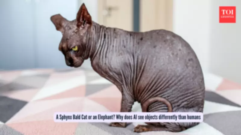 AI Vision's Blind Spot: Why Machines See Sphynx Cats as Elephants