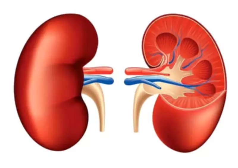 Ambala Hospital Hosts Kidney Health Awareness Event, Stresses Early Detection