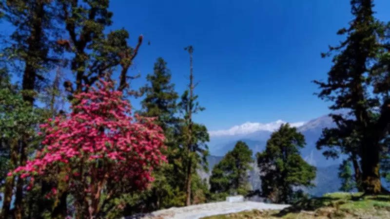 Anand Mahindra Spotlights Uttarakhand's Phool Dei, A Heartwarming Spring Festival of Flowers