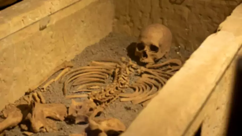 Ancient 'Princess of Bagicz' Revealed: Storm Uncovers 2,000-Year-Old Coffin in Poland
