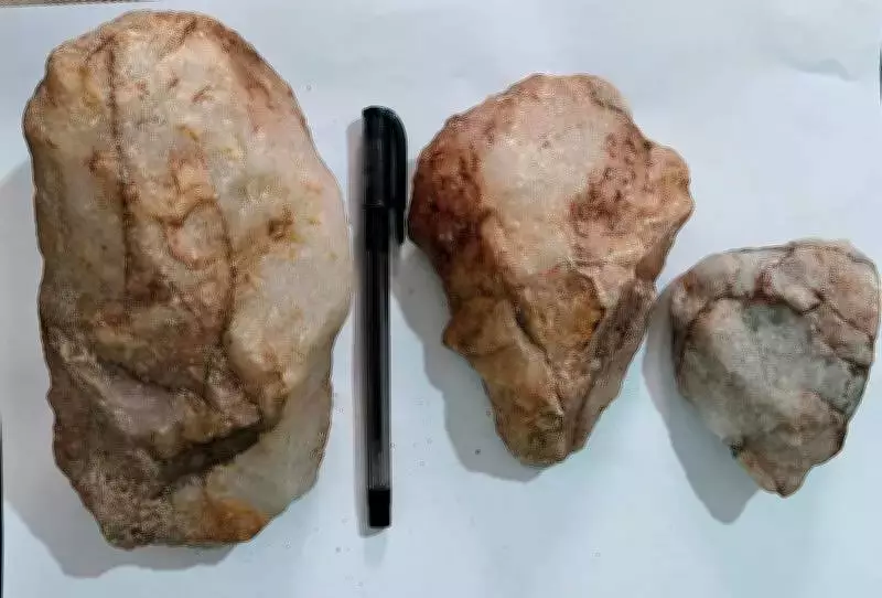 Ancient Stone Tools Unearthed in Hyderabad Forest, Dating Back 600,000 Years
