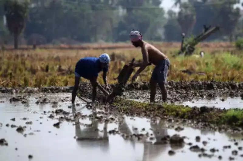 Andhra NGO Provides Financial Aid to Families of 17 Farmers Who Died by Suicide