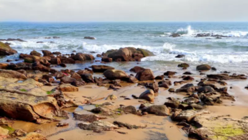 Andhra Pradesh Aims to Become Strategic Material Hub with Beach Sand Minerals