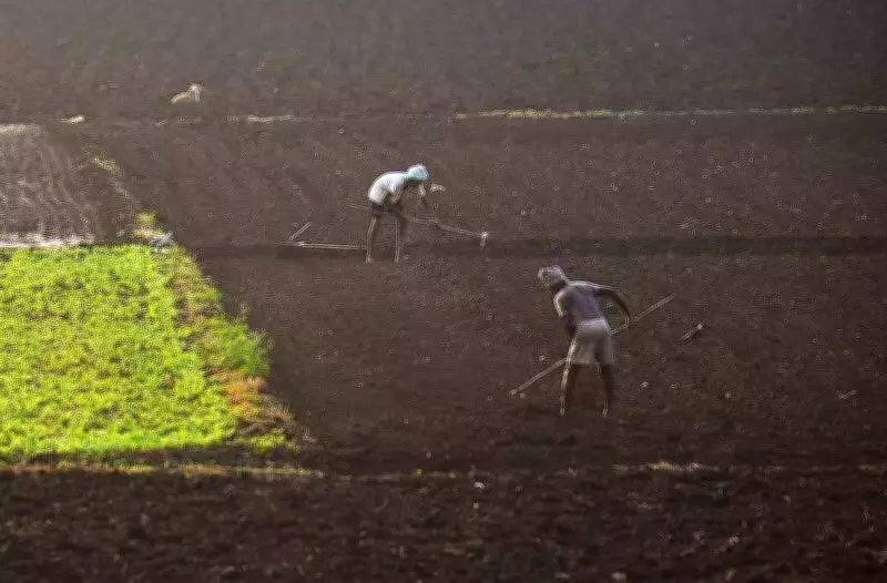 Andhra Pradesh Extends Land-for-Land Compensation to Amaravati's R-1 Zone Farmers