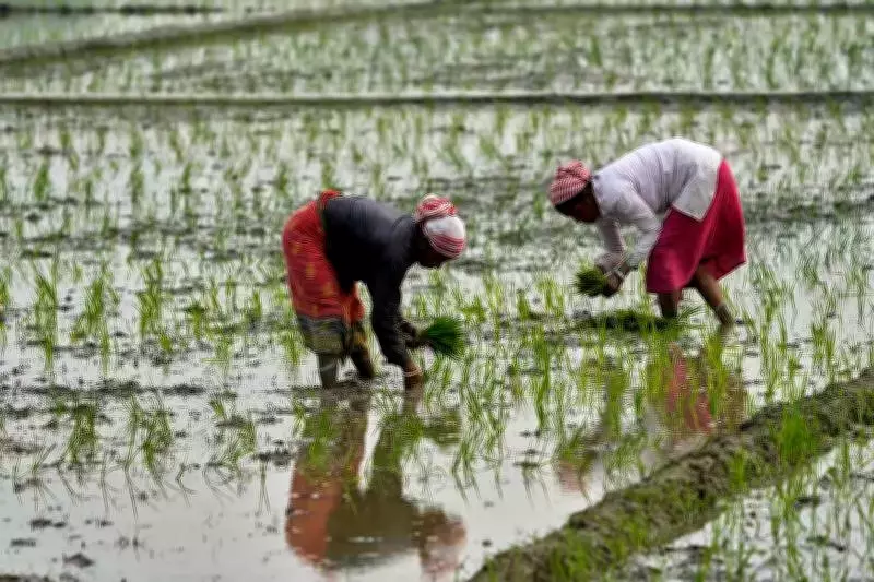 Andhra Pradesh to Clear 46,113 Pending Farm Power Connections by Month-End