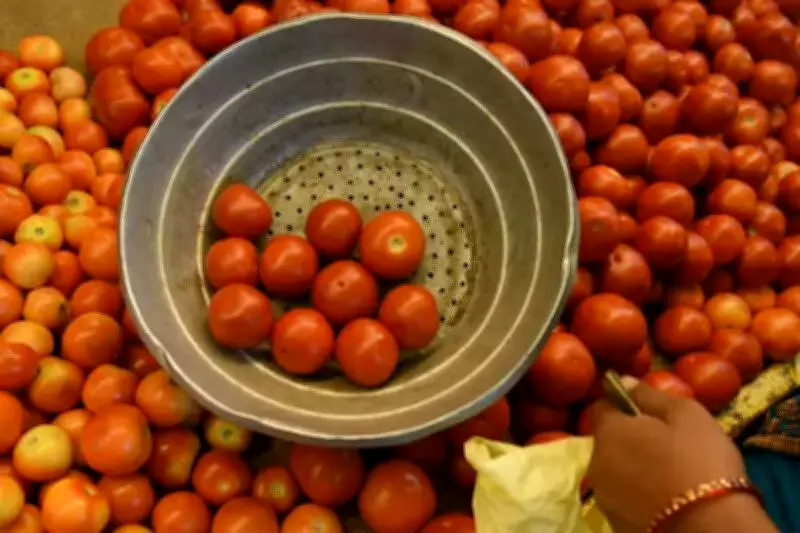 Andhra Tomato Farmers Face Crisis as Prices Plummet to ₹2-6 per Kg