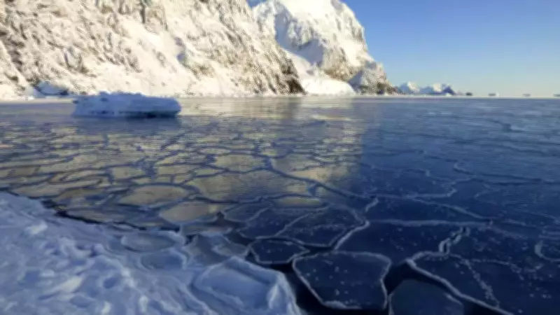 Antarctica: The World's Largest Desert Where Heatwaves Are Impossible
