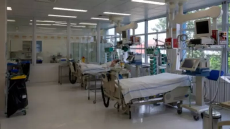 Antibiotic Resistance Drives 87% of India's Typhoid Economic Burden, Study Finds