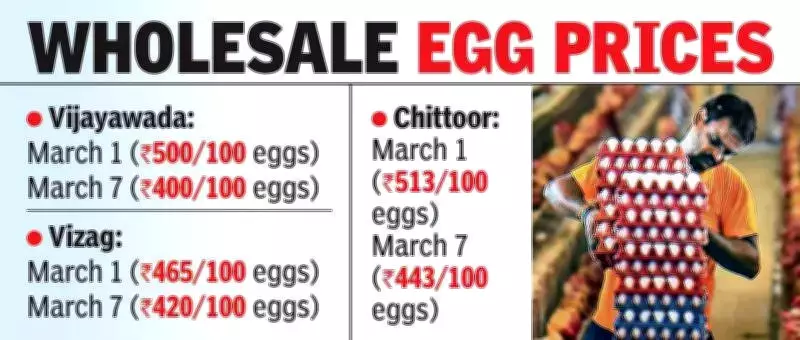 AP Poultry Crisis: Egg Prices Plummet 40%, Farmers Face Rs 4 Crore Daily Loss