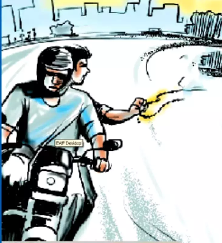 Armed Highway Robbery in Mhow: Family Attacked, Gold Chain Worth Rs 2 Lakh Stolen