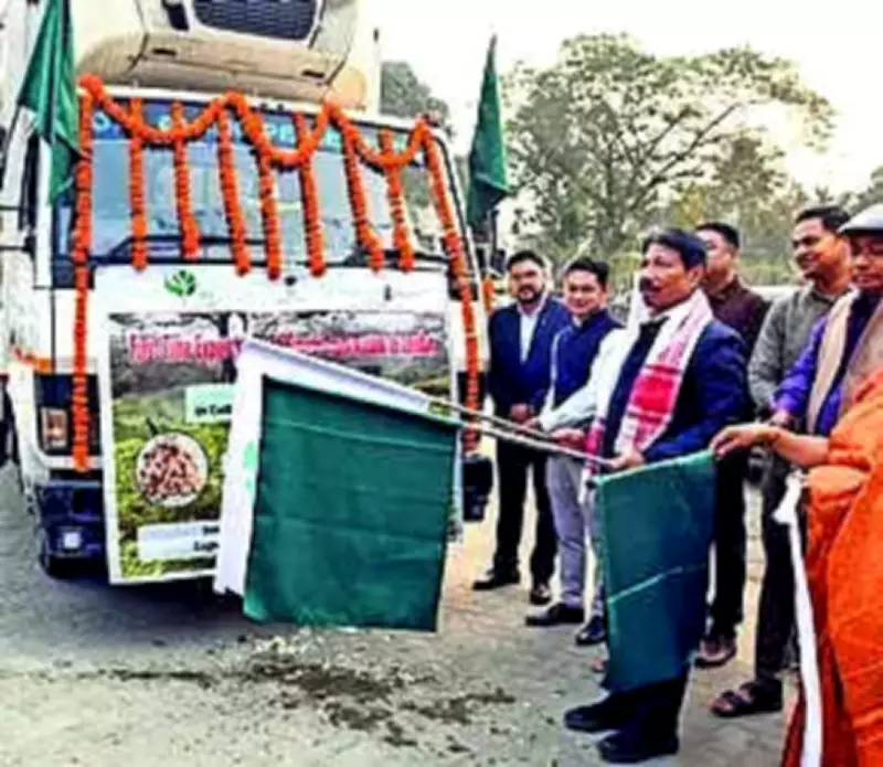 Assam's GI-Tagged Karbi Anglong Ginger Exports to London Market