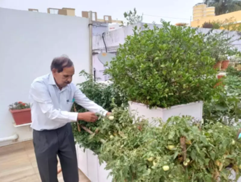 At 76, Odisha Man's Rooftop Garden Is a Natural Farming Laboratory