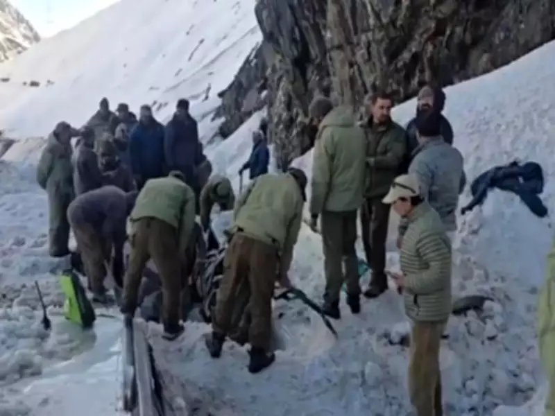 Avalanche at Zojila Pass Claims 7 Lives, 5 Injured in Jammu & Kashmir