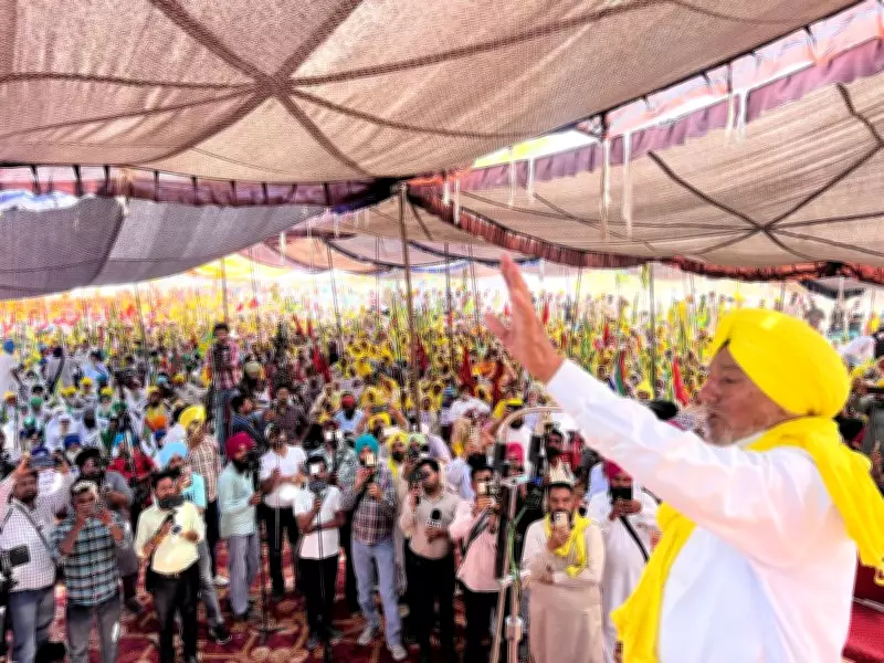 Bathinda Farmers Stage Protest, Demand Action Against SSP for Alleged Excesses
