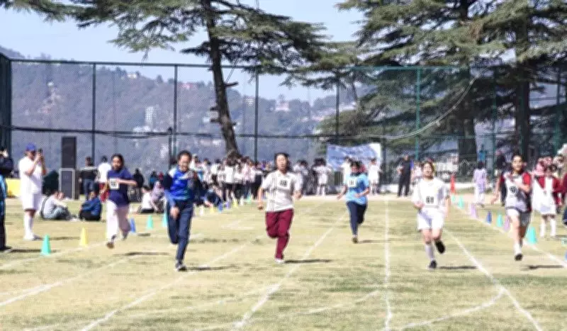 BCS Shimla Hosts Empowering 'Run for Women' Event to Promote Fitness and Equality