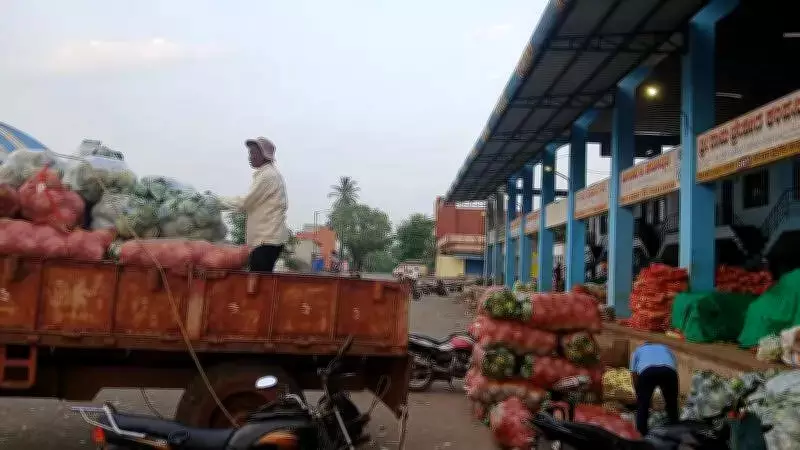 Belagavi APMC Vegetable Price Crash: Farmers Dump Produce Amid Demand Slump