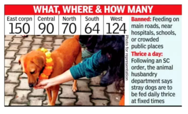Bengaluru Designates 498 Official Feeding Spots for Street Dogs to Balance Welfare and Safety