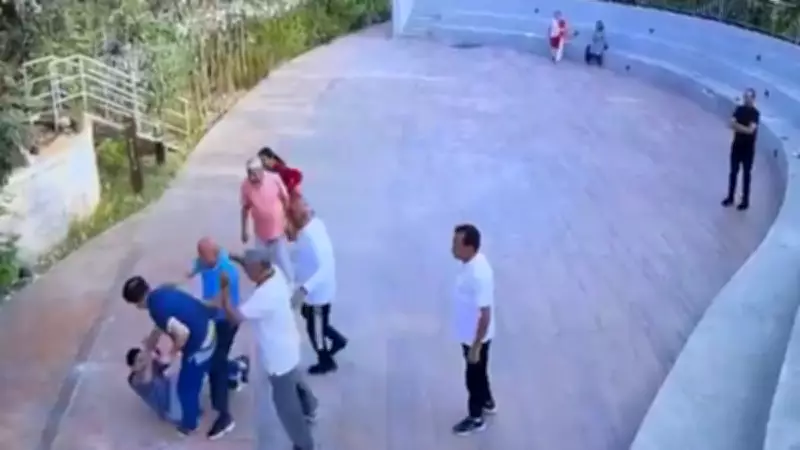 Bengaluru Dog Dispute Escalates into Physical Brawl Among Senior Citizens