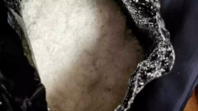 Bengaluru DRI Busts Major Crystal Meth Network, Seizes Drugs Worth Rs 8.3 Crore
