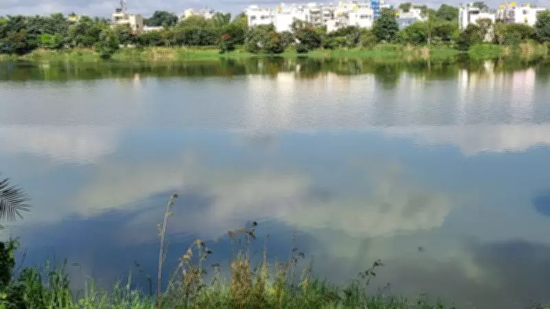 Bengaluru NGO and Residents Clean Kembathalli Lake, Collect 50 Bags of Waste