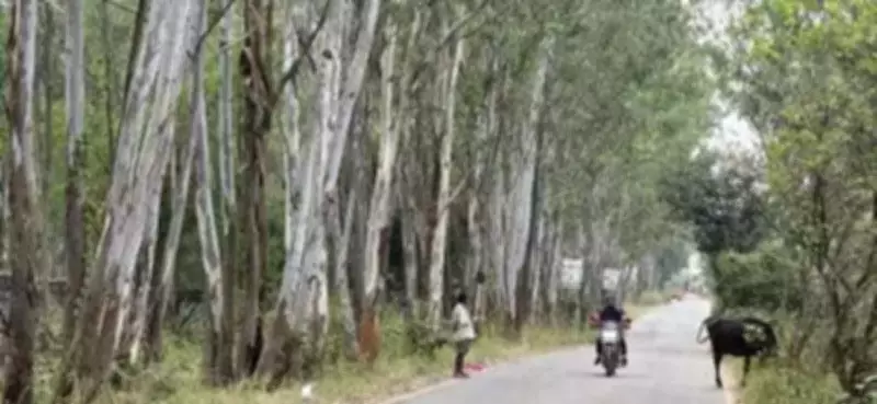 Bengaluru's Long-Delayed Peripheral Ring Road Project Rebranded as Business Corridor, Tenders Invited