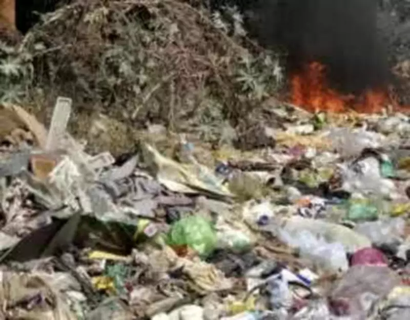 Bengaluru's Trash-to-Cash Initiative Yields Major Revenue from Plastic Waste Credits